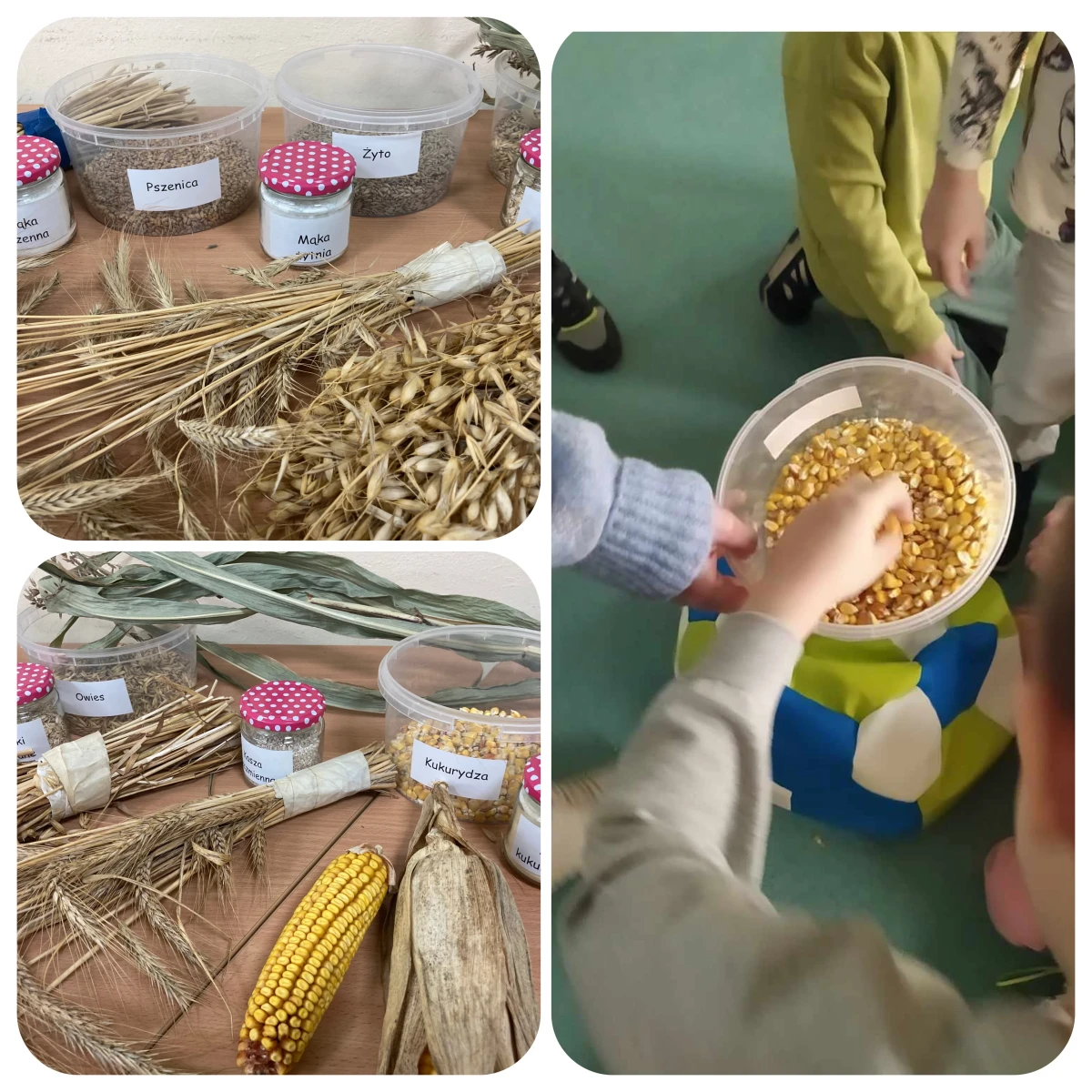 Dzieci uczestniczące w projekcie edukacyjnym